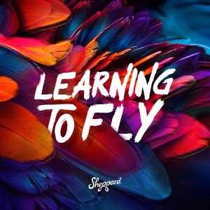 ดาวน์โหลดและฟังเพลง Learning To Fly พร้อมเนื้อเพลงจาก Sheppard