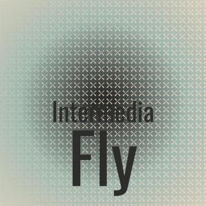 Various Artists的專輯Intermedia Fly