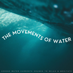 Massage Playlist的專輯The Movements Of Water: Serene Water Currents Sounds To Relax & Meditate