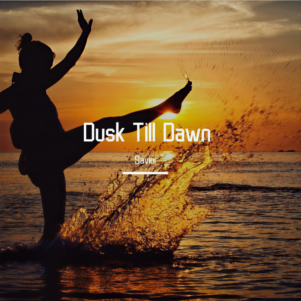 ZAYN-Dusk Till Dawn (Savior remix)