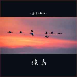 Listen to 候鸟 song with lyrics from 鱼子chloe