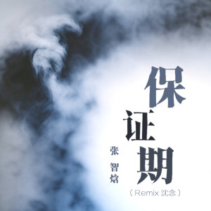 张智焓的专辑保证期 (Remix 沈念)