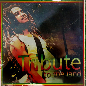Listen to Petotang song with lyrics from Conrad Good Vibration
