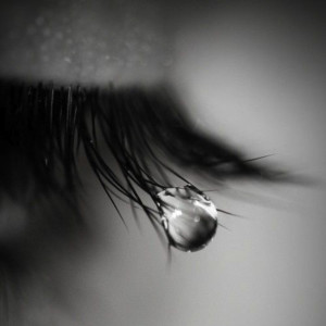 อัลบัม Lágrima ศิลปิน RDG