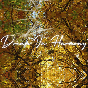 Listen to Dream in Harmony song with lyrics from Harmony Dreams