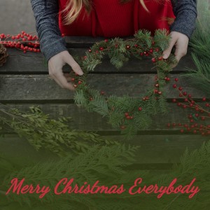 Various的专辑Merry Christmas Everybody