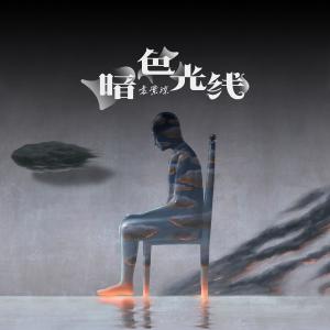Album 暗色光线 from 袁紫琼