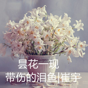 Listen to 昙花一现 (伴奏) song with lyrics from 带伤的泪鱼