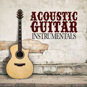 อัลบัม Acoustic Guitar Instrumentals ศิลปิน Guitar Solos