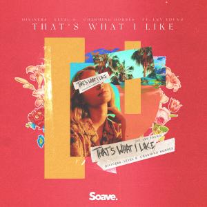 ดาวน์โหลดและฟังเพลง That's What I Like (feat. LKY Young) พร้อมเนื้อเพลงจาก Diviners