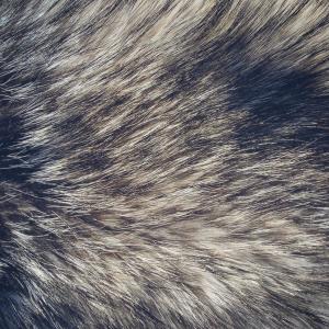 Angel Felix的專輯So Far Gone (Explicit)