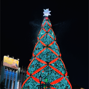 Listen to Beautiful Christmas (cover: Red Velvet|aespa) (完整版) song with lyrics from 岚城