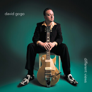 Album Different Views from David Gogo