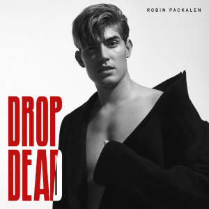 收聽Robin的Drop Dead歌詞歌曲