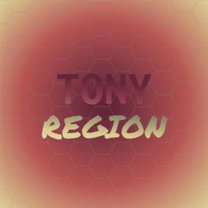 Various Artists的专辑Tony Region