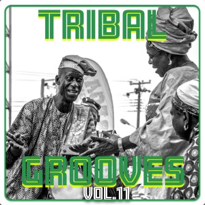 อัลบัม Tribal Grooves Vol. 11 ศิลปิน 'Umar Abdul ''Aziz Fadar Bege'