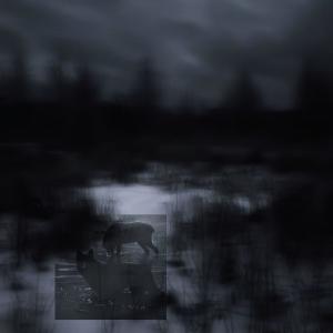 收聽Whitewitch的Rotten Wood (feat. lonewitch)歌詞歌曲