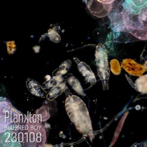 收聽Blurred Boy的230108 Plankton歌詞歌曲