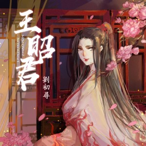 收聽二逗的王昭君 (伴奏)歌詞歌曲