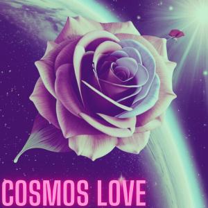 Barking Rayan的专辑Cosmos Love