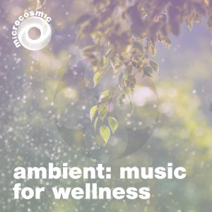 อัลบัม Ambient - Music For Wellness ศิลปิน Thomas Beck
