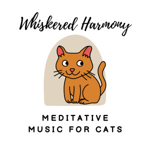 อัลบัม Whiskered Harmony: Meditative Music for Cats ศิลปิน Modal Colours