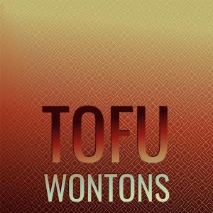 Various Artists的專輯Tofu Wontons