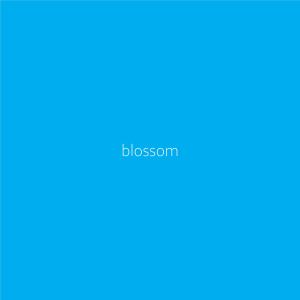 ดาวน์โหลดและฟังเพลง Blossom พร้อมเนื้อเพลงจาก Reefs