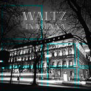 JOSEF STRAUSS的專輯Waltz in Vienna