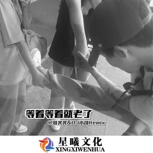 Listen to 心愿 (DJ版) song with lyrics from 李华能