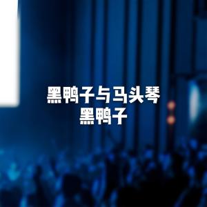 Listen to 天亮了 song with lyrics from 黑鸭子