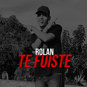 ดาวน์โหลดและฟังเพลง Te Fuiste พร้อมเนื้อเพลงจาก Rolan