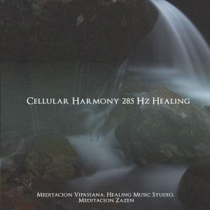 Meditación Vipassana的專輯Cellular Harmony 285 Hz Healing