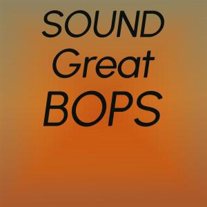 Various Artists的专辑Sound Great Bops