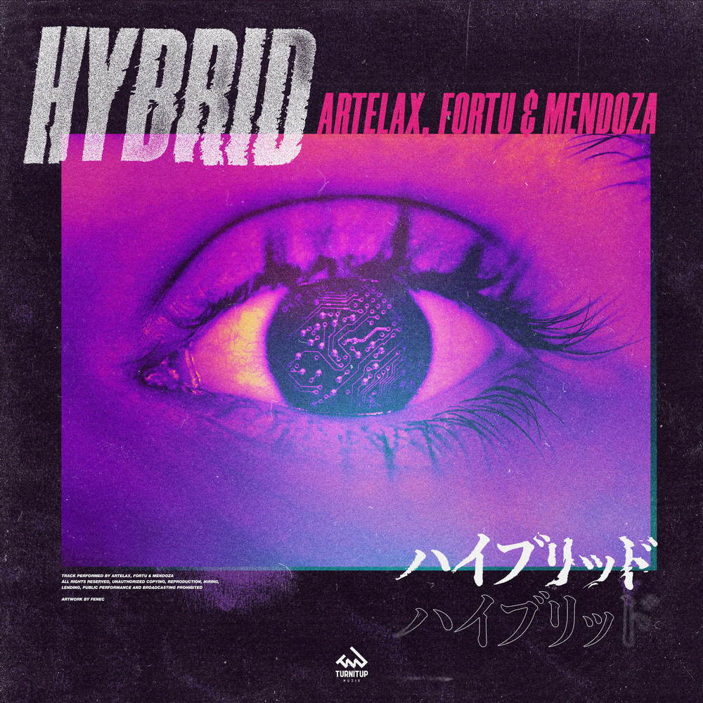 Hybrid (其他)