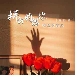 ดาวน์โหลดและฟังเพลง 拼命的想你拼命的流泪 พร้อมเนื้อเพลงจาก 陈舒岩