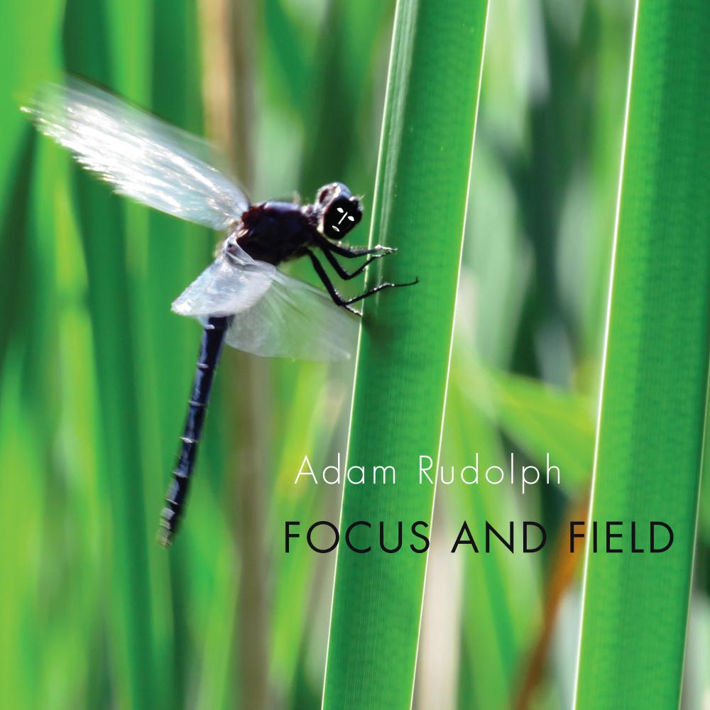 Focus and Field