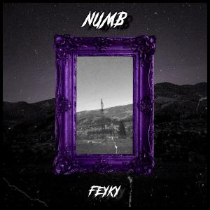 的专辑NUMB
