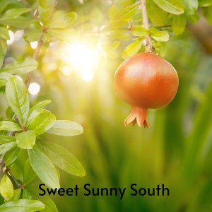 Dengarkan For a Few Dollars More lagu dari The Royal Philharmonic dengan lirik