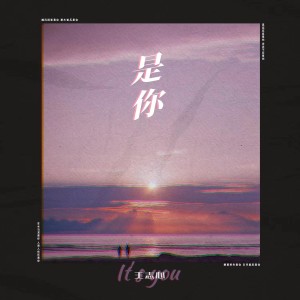 Listen to 是你 song with lyrics from 王志心