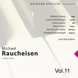 Michael Raucheisen Vol. 11