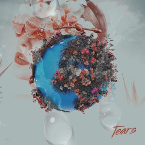 收聽Swerve City的Tears (Explicit)歌詞歌曲