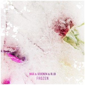 Frozen dari MAA