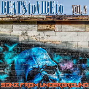 Album Beats to Vibe to, Vol. 8 from Sonz From Underground