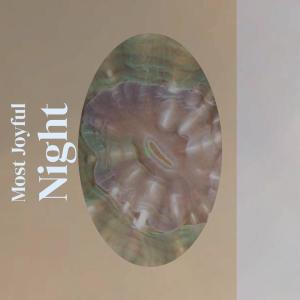 Various的专辑Most Joyful Night