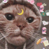 default album img