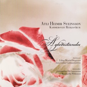 Listen to Concerto serpentinada (Alternate 4) song with lyrics from Kammersveit Reykjavíkur