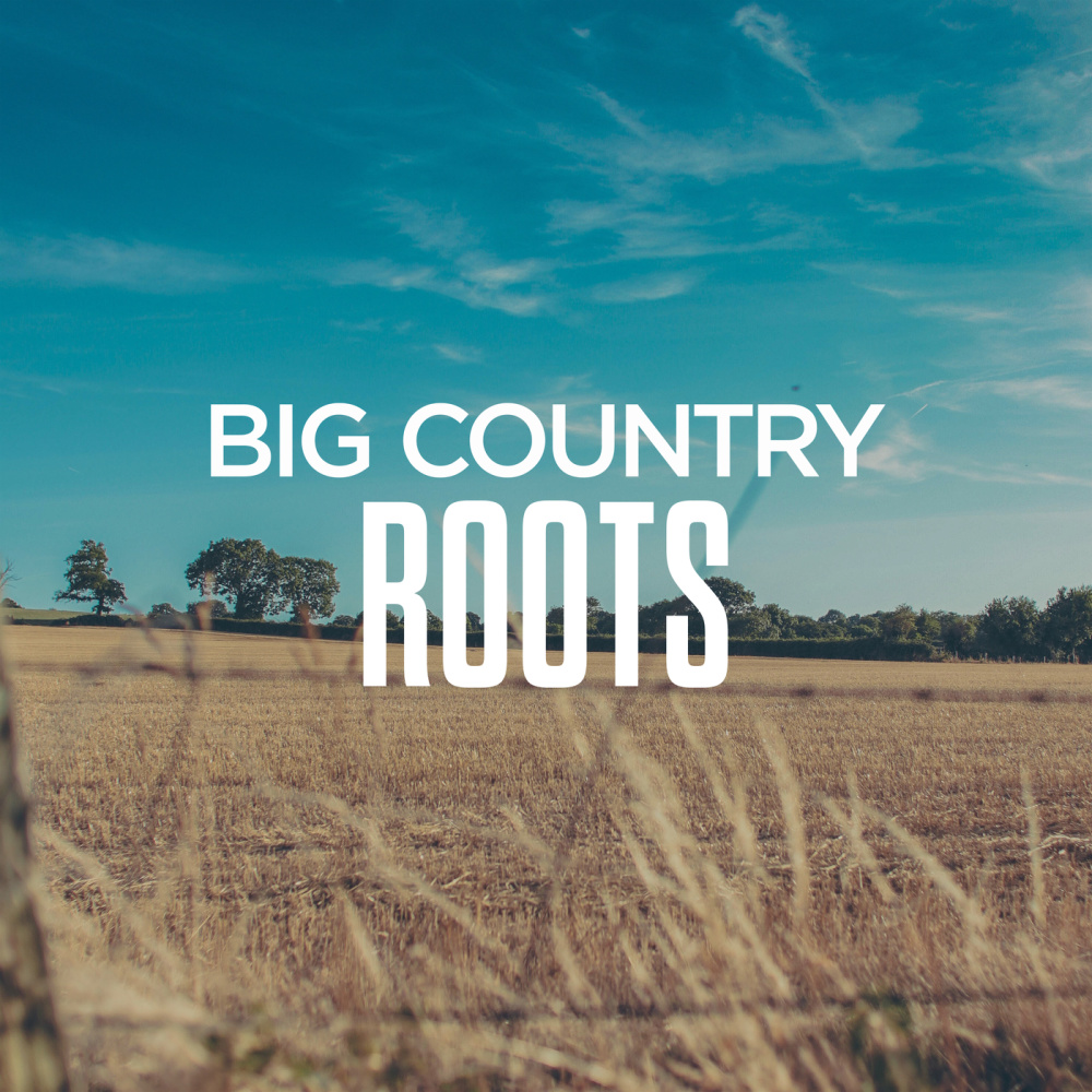 Check Cashin' Country