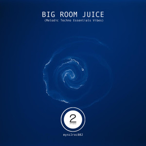 BIG ROOM JUICE (Melodic Techno Essentials Vibes) (Extended Mix) dari Various Artists