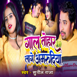 Album Gaal Tohar Laage Amrudiya from 